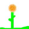 Orange flower 4